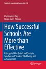 : How Successful Schools Are More than Effective, Buch