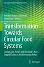 Überschrift: "Transformation Towards Circular Food Systems". Grüne, geometrische Hintergründe mit einem Springer-Logo.