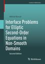 Mikhail Borsuk: Interface Problems for Elliptic Second-Order Equations in Non-Smooth Domains, Buch