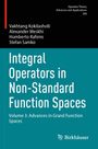 Titel: Integral Operators in Non-Standard Function Spaces. Schwarzer Oberteil, türkisfarbener unterer Bereich. Logo: Birkhäuser.