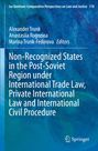 Der Text beschreibt ein Buch über nicht-anerkannte Staaten im postsowjetischen Raum und internationales Recht. Hintergrund in Blau.