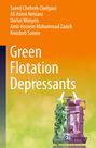 Saeed Chehreh Chelgani: Green Flotation Depressants, Buch