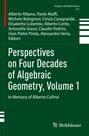 "Perspectives on Four Decades of Algebraic Geometry, Volume 1" in Weiß auf grünem Grund. Darunter ein Logo.