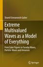 Shamil Usmanovich Galiev: Extreme Multivalued Waves as a Model of Everything, Buch