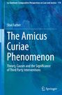 Shai Farber: The Amicus Curiae Phenomenon, Buch