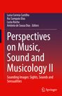 : Perspectives on Music, Sound and Musicology II, Buch