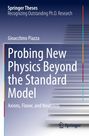 Text: Gioacchino Piazza, "Probing New Physics Beyond the Standard Model: Axions, Flavor, and Neutrinos", Springer Logo.   
Hintergrund: Graue Treppen.