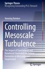 Henning Reinken: Controlling Mesoscale Turbulence, Buch