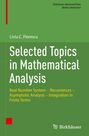 Liviu C. Florescu: Selected Topics in Mathematical Analysis, Buch