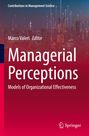 "Managerial Perceptions: Models of Organizational Effectiveness. Marco Valeri, Editor. Skyline mit leuchtenden Linien."