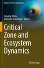 "Critical Zone and Ecosystem Dynamics", blaue Spirale links oben, Springer-Logo unten.