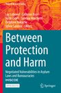 "Between Protection and Harm", über Asylgesetze. Autoren: Luc Leboeuf, Cathrine Brun u.a. Illustration: Mann und Kind am Zaun.