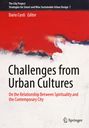 : Challenges from Urban Cultures, Buch