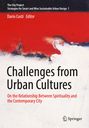 Oben steht "The City Project" und "Dario Costi Editor". Unten "Challenges from Urban Cultures". Kunst mit rotem und schwarzem Hintergrund. Logo unten rechts.