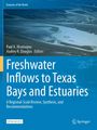 „Freshwater Inflows to Texas Bays and Estuaries“ von Paul A. Montagna und Audrey R. Douglas. Luftaufnahme einer Küste.