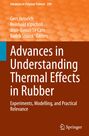 : Advances in Understanding Thermal Effects in Rubber, Buch