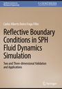 Carlos Alberto Dutra Fraga Filho: Reflective Boundary Conditions in SPH Fluid Dynamics Simulation, Buch