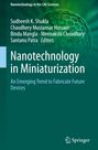 : Nanotechnology in Miniaturization, Buch