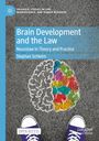 Titel: Brain Development and the Law. Illustration: bunte Gehirn-Kreidezeichnung auf Asphalt, violette Schuhe.