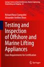 Alexander Arnfinn Olsen: Testing and Inspection of Offshore and Marine Lifting Appliances, Buch