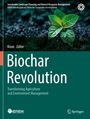 "Biochar Revolution: Transforming Agriculture and Environment Management." Grünes Pflänzchen auf dunklem Boden.