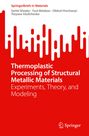 Serhii Sheyko: Thermoplastic Processing of Structural Metallic Materials, Buch