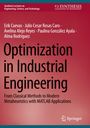 Erik Cuevas: Optimization in Industrial Engineering, Buch
