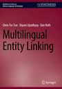 Text: "Multilingual Entity Linking", Autoren: Chen-Tse Tsai, Shyam Upadhyay, Dan Roth. Hintergrund: Rötlich, schlichte Gestaltung.
