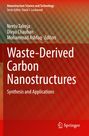 Titel: "Waste-Derived Carbon Nanostructures: Synthesis and Applications". Orange-Rot Hintergrund, Springer-Logo unten.