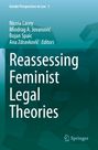 Reassessing Feminist Legal Theories, Buch