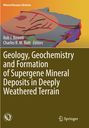 "Mineral Resource Reviews"; "Editors: Rob J. Bowell, Charles R. M. Butt"; Buchcover mit bunter geologischer Illustration.