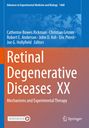 Retinal Degenerative Diseases XX, Buch