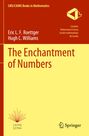 "The Enchantment of Numbers" von Eric L. F. Roettger und Hugh C. Williams. Oben sind Logos von CMS/CAIMS und Springer.