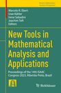 : New Tools in Mathematical Analysis and Applications, Buch