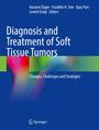 Buchtitel: "Diagnosis and Treatment of Soft Tissue Tumors". Bunte, verschwommene Farbmuster auf blauem Hintergrund. Springer-Logo.