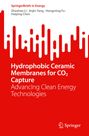 Zhaohao Li: Hydrophobic Ceramic Membranes for CO2 Capture, Buch