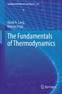 "The Fundamentals of Thermodynamics", Autoren: David A. Lavis, Roman Frigg. Blaues, wissenschaftliches Design, Springer-Logo.