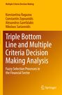 Titel: Triple Bottom Line and Multiple Criteria Decision Making Analysis. Autorennamen oben links. Springer-Logo unten rechts.