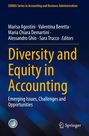"Diversity and Equity in Accounting" mit Editoren und Serie, Logo unten rechts. Blau-gelbes Design.