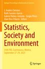 „Statistics, Society and Environment“, Konferenzdetails, Herausgebernamen. Gelbes Cover, Springer-Logo unten rechts.
