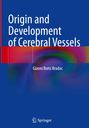 Gianni Boris Bradac: Origin and Development of Cerebral Vessels, Buch