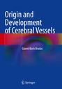 Titel: "Origin and Development of Cerebral Vessels", Autor: Gianni Boris Bradac; blaues Cover mit buntem Verlauf.