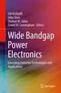 : Wide Bandgap Power Electronics, Buch