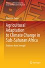 Marieme Toure: Agricultural Adaptation to Climate Change in Sub-Saharan Africa, Buch