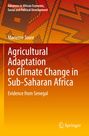 „Agricultural Adaptation to Climate Change in Sub-Saharan Africa: Evidence from Senegal“ von Marieme Toure. Orange Muster.