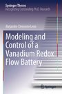 "Modeling and Control of a Vanadium Redox Flow Battery" von Alejandro Clemente León. Stufen grafisch abgebildet.