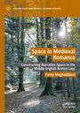 Fanny Moghaddassi: Space in Medieval Romance, Buch
