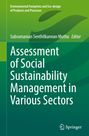 "Assessment of Social Sustainability Management in Various Sectors", grüner Hintergrund, Springer-Logo unten rechts.