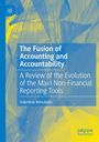 Valentina Minutiello: The Fusion of Accounting and Accountability, Buch