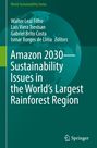 : Amazon 2030 - Sustainability Issues in the World's Largest Rainforest Region, Buch